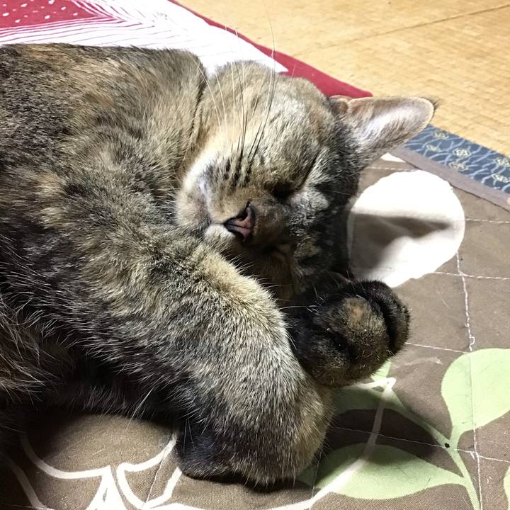 5ac381c8 fc37 4033 884f c6d34fbecf5f 1665314867438