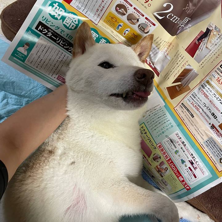 5ac39239 3730 4fb0 bd74 2d0b89f6851a 1665147592936