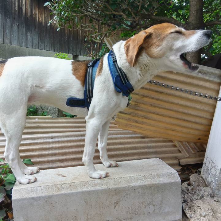 5ac39de1 ab98 4838 9b5c 01849ac0dbc9 1747576147387