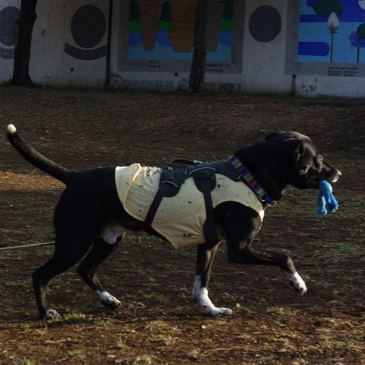 5ac3aa68 7070 4f64 b00d 81b4b54cd860 1646096983145