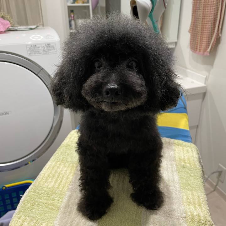 5ac3c259 d161 4663 bac2 f51ec5aaa7f8 1658662593382