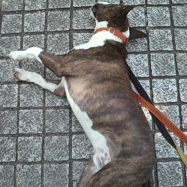 5ac3cc96 8fe9 4367 9b24 a6773ea87a84 1618814649234