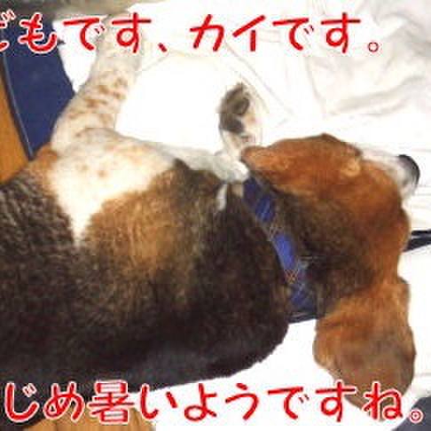 5ac3d5ec e713 4870 a52c 4167086cf478 1686610529064