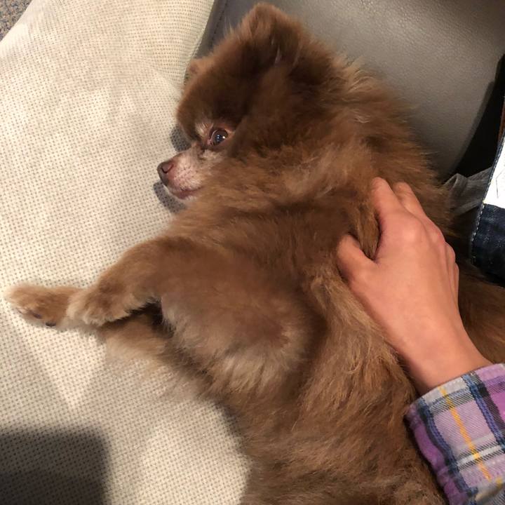 5ac3e26e 34f6 4ae9 aad4 5f2201fc41f1 1534584805945