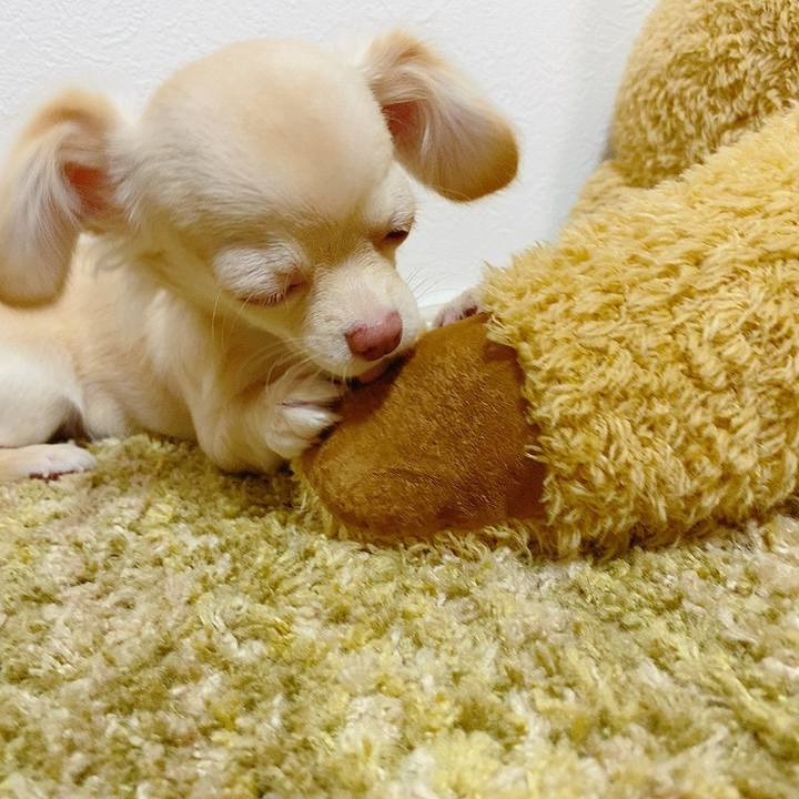 5ac3ed5f 8301 4852 8f7e 467d79db0605 1596178790399