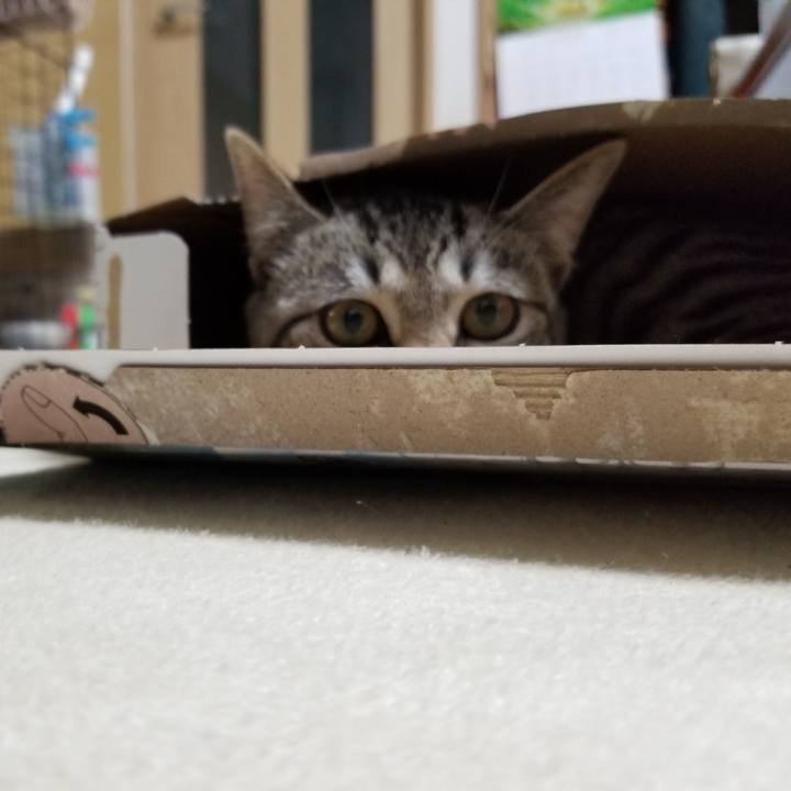 5ac3ee0a 279f 4098 8a35 3dc2022d7878 1671919592918