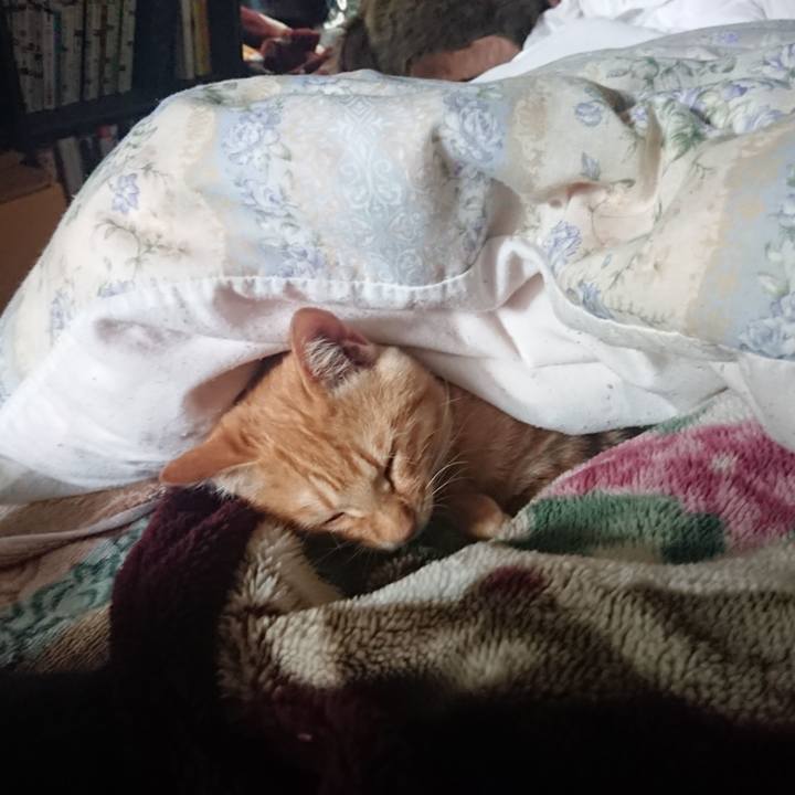 5ac4090b 2a68 4e51 9ccd ee3a7666d686 1635917676053