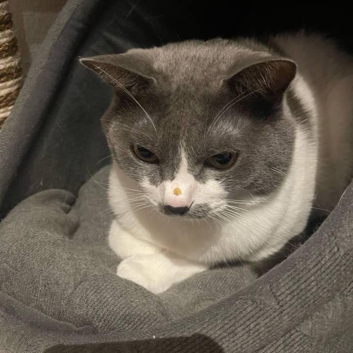 5ac409a7 52f1 45ae a6cb 3c0da3d350b6 1665486281145