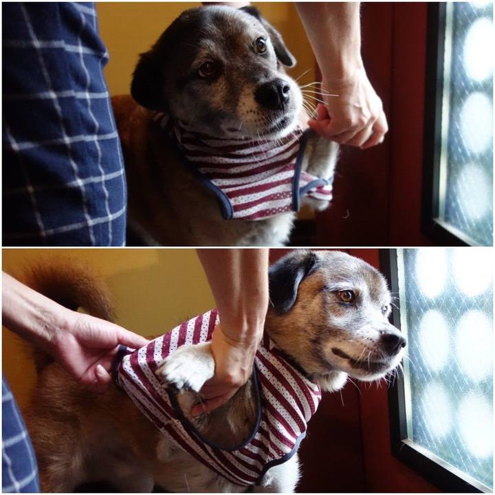 5ac41491 5e72 440b b19f 35fd2e1a3081 1567462397268