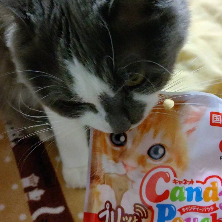 5ac41d54 26f1 455a 8b13 083e4542b42e 1605177227105