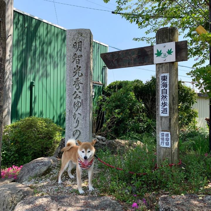 5ac4346b 39bd 4015 b431 7bc51b502420 1588410089889