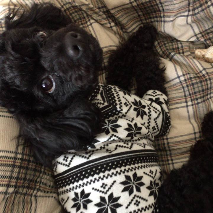 5ac43ef1 c33c 43a5 84ec ede1d9ced10f 1518850455656