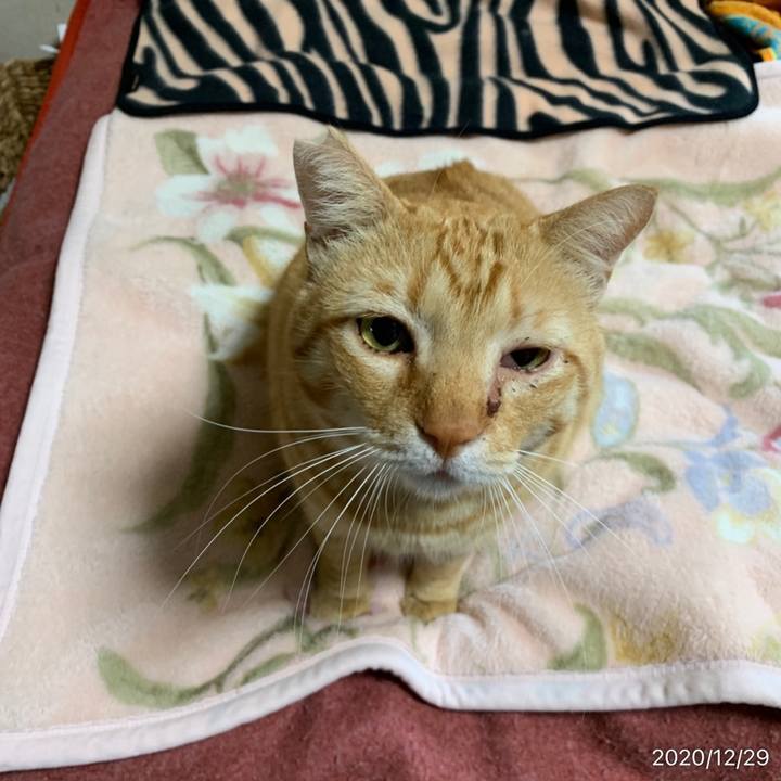 5ac45e43 2673 4db3 9879 4f8a98229116 1609195357511