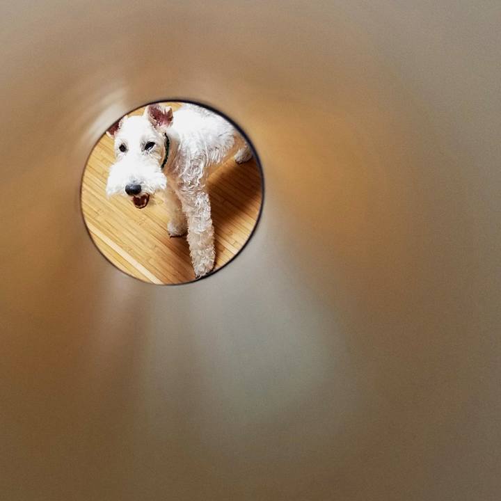 5ac4ac0e f970 49e8 b566 b7208c264617 1536622233894