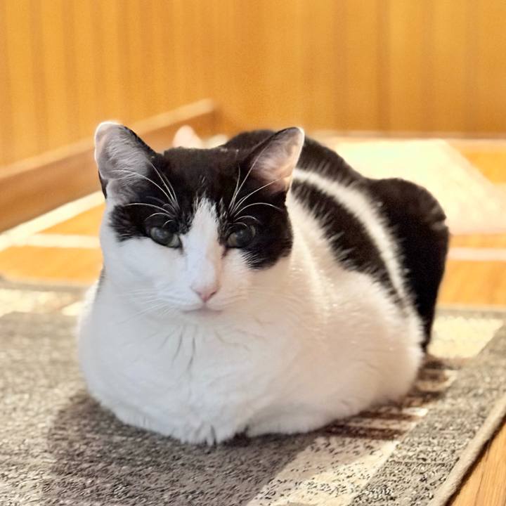 5ac4be2e d4a7 4f17 aa7b c06b71b26f23 1767319943382