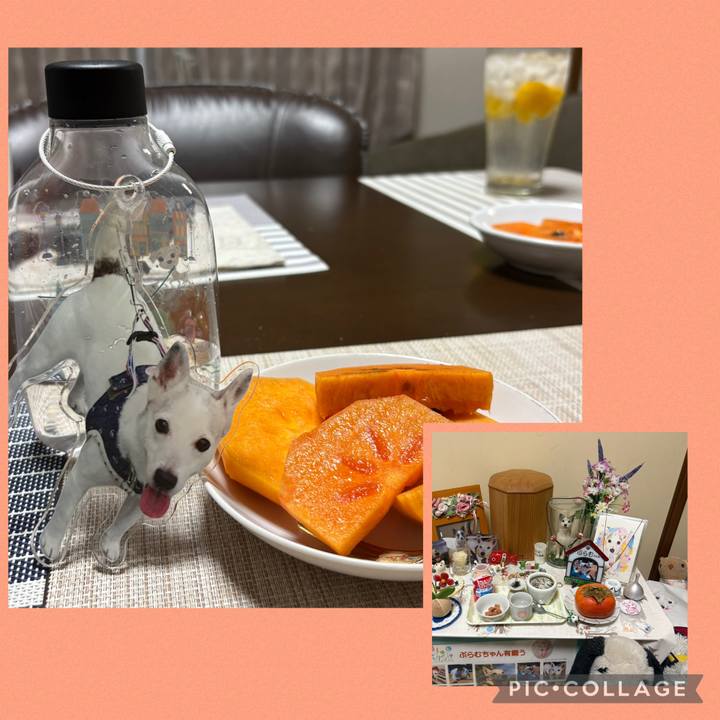 5ac4fe69 f15b 4cf5 948e 6523396a54ce 1764416279969