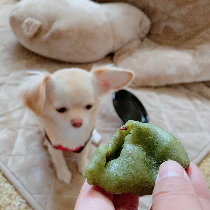 5ac52a27 86b8 4e67 ac19 72fb4d06772b 1612775082055