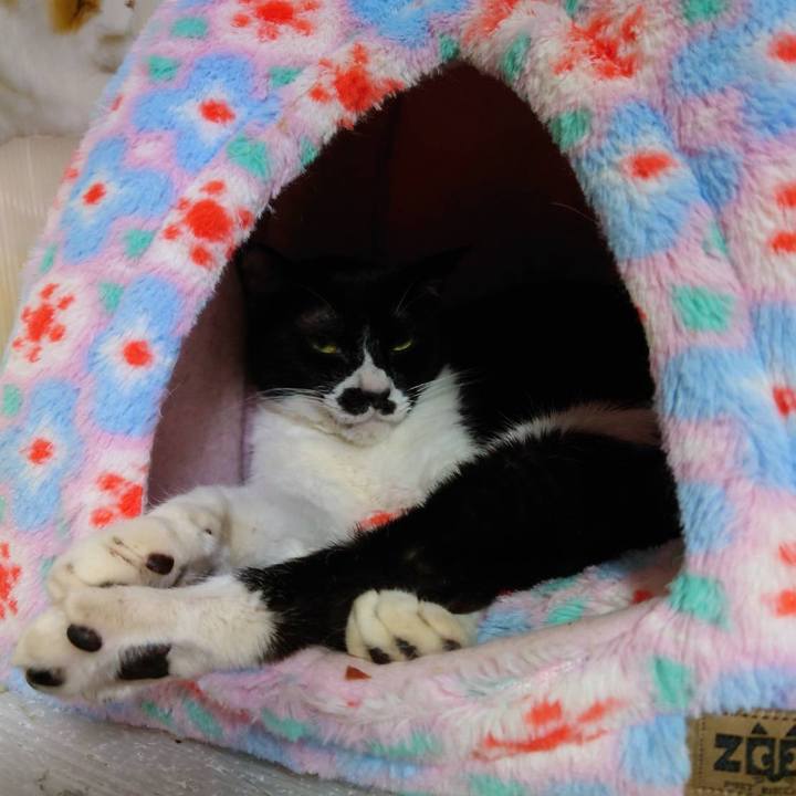 5ac55333 a92b 4c80 88d8 a7da1bf28373 1649412962831