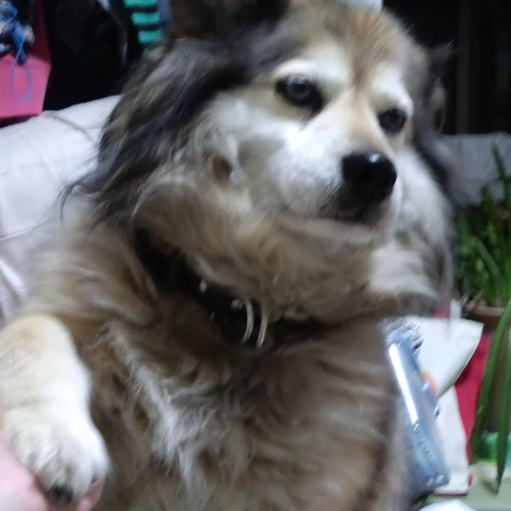 5ac57bac ec90 41ff 85e2 9d22233d7b6d 1566428950105