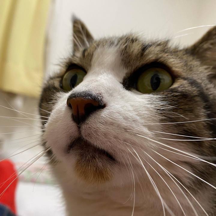 5ac58758 3767 412d b9c5 c0f213bf6f9d 1645703454797