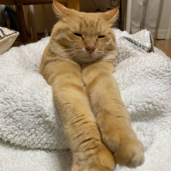 5ac5a130 e0e5 4b41 87c7 b4c43432ac52 1605188363102