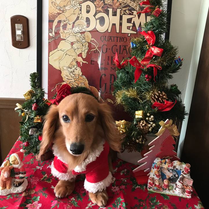 5ac5a29a b1d5 4e4d bc36 824dd66574cb 1513390976742