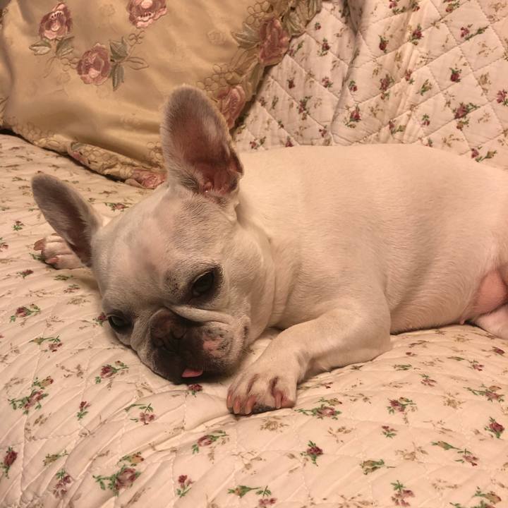 5ac5cb6f e891 4e84 ad2c 3f0d5fc10049 1592097360489