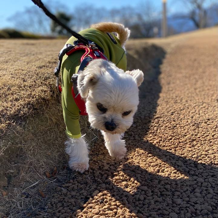 5ac5e4bd c95e 4a40 96f4 c69fb72534d1 1610172296379