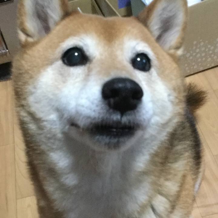 5ac5eb54 ee2c 4191 9689 bde5ac4cc69e 1589530765372