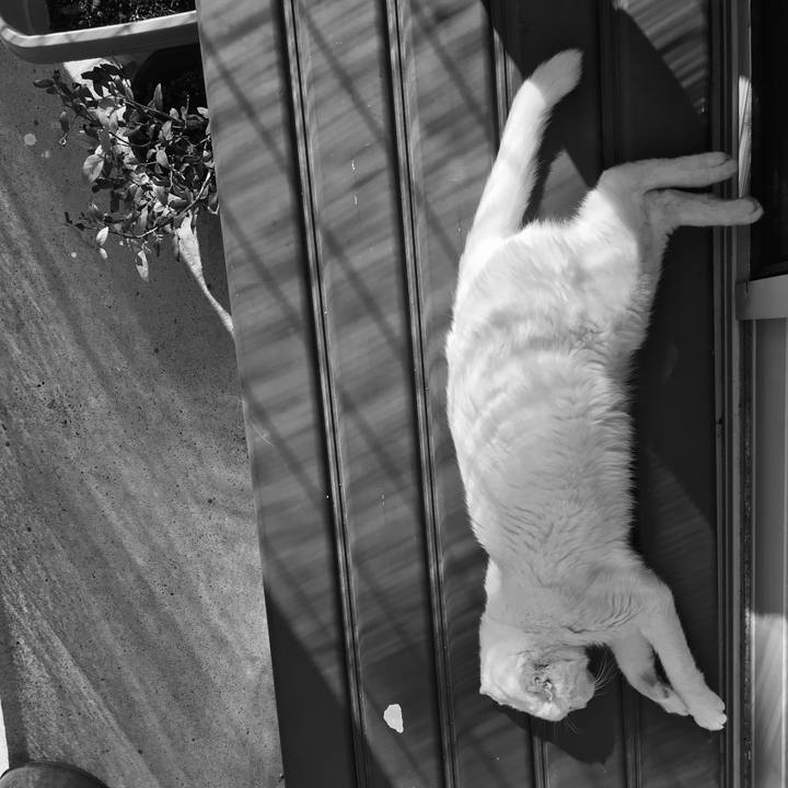 5ac60f79 c963 4537 ad7f e9fbfbfc71b4 1570370485969