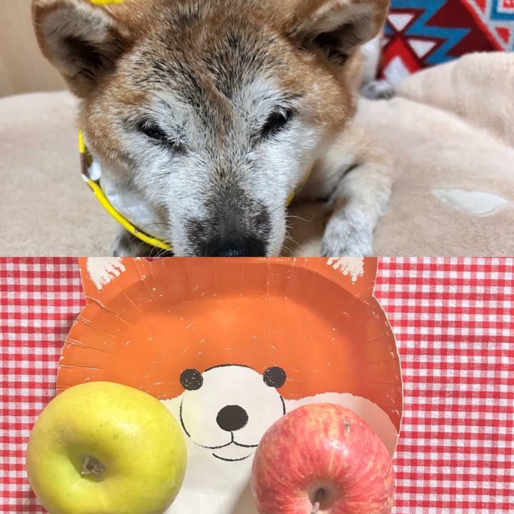 5ac61f66 1a13 4cf1 9d5d 7e92ef0e8d8b 1766576199655