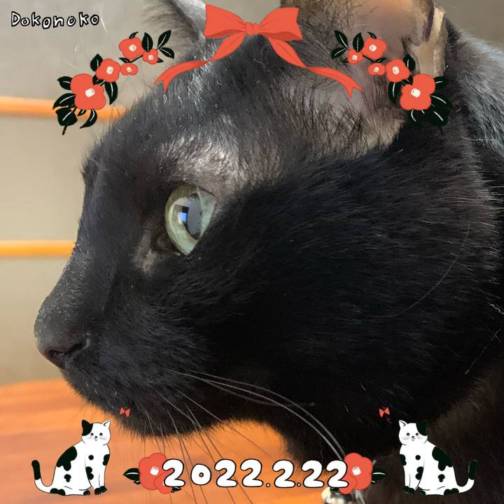 5ac626d5 0bd5 4a2a 846d 4aa4917e3995 1645505035099
