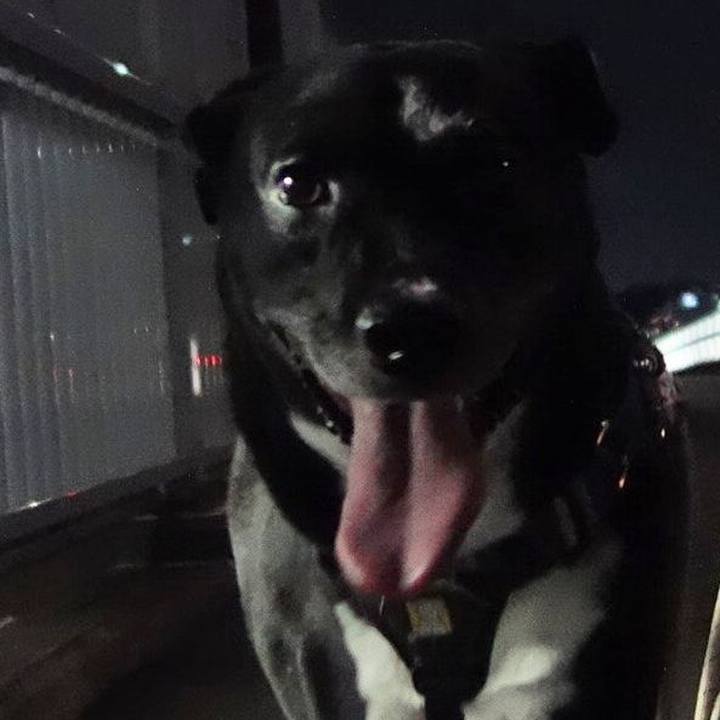 5ac65e4f b83d 49c5 960a bf8dc0cb32bc 1661597321696