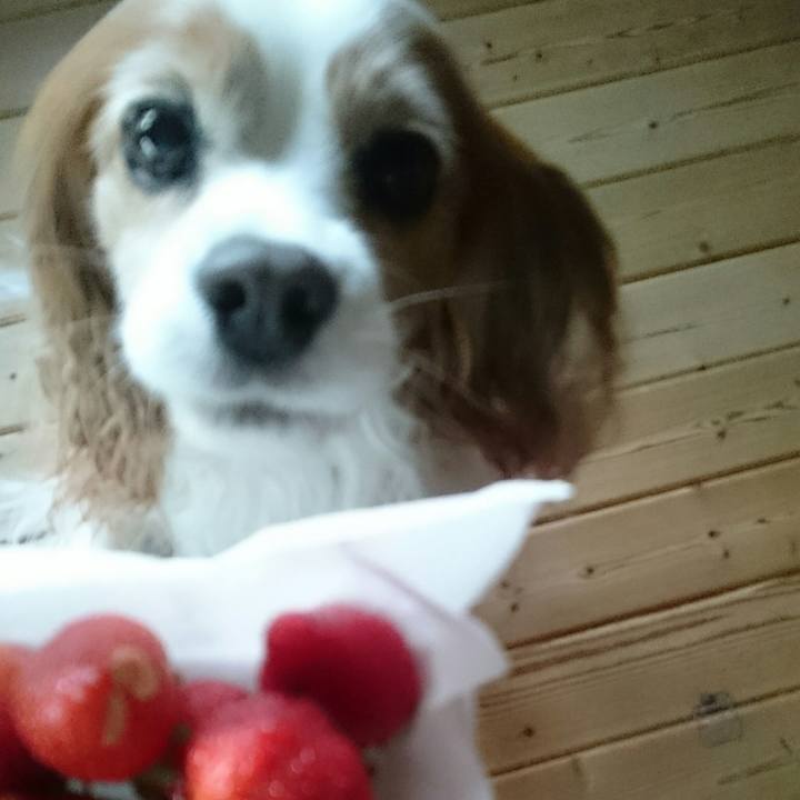 5ac67187 b822 4cb8 af60 bc69451b0257 1559559333869