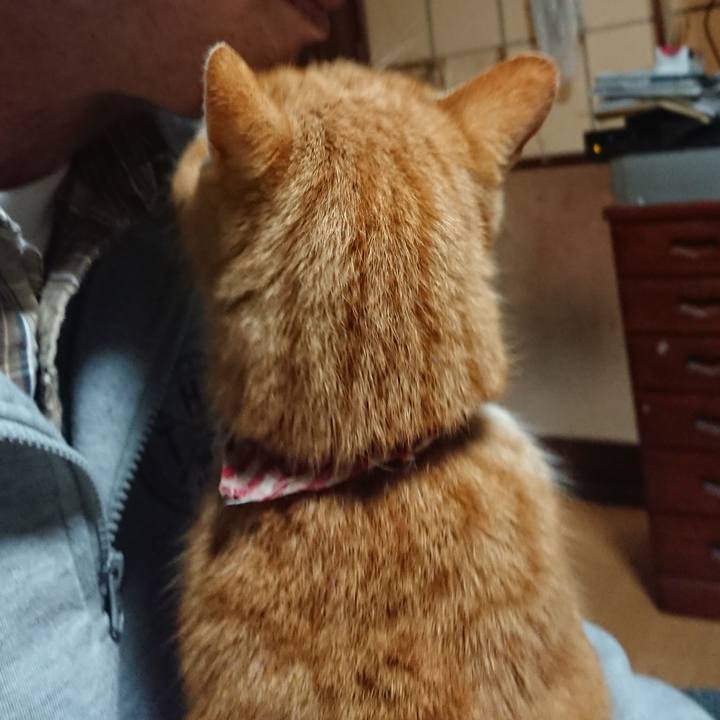 5ac6953b f85d 4ecb a31e e340dfade692 1607975083936