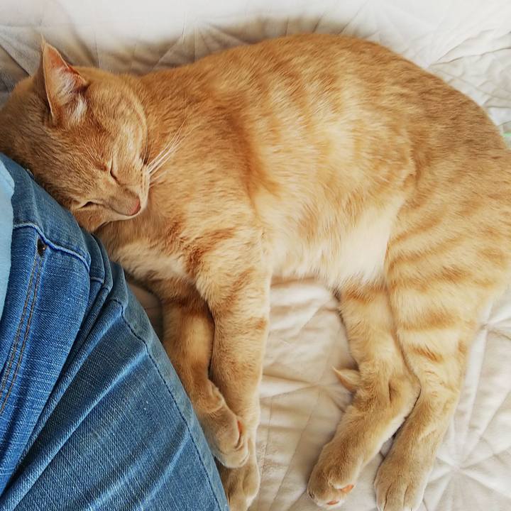 5ac6955e 86f4 490c bb0e 9e7263439428 1624425762013