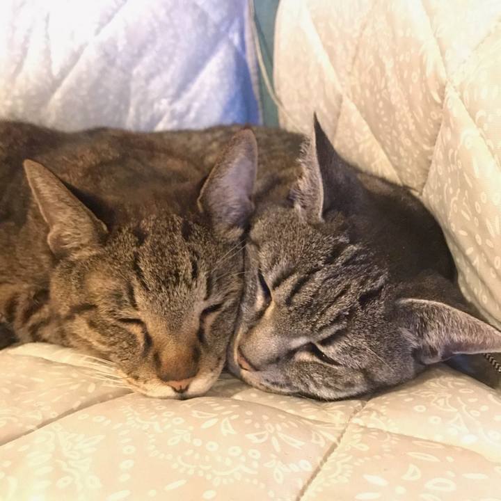 5ac69be0 a31d 4214 bb4b d13035310b29 1762657213026