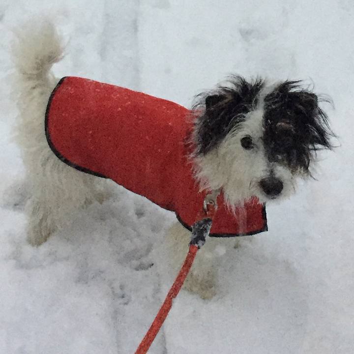 5ac6a4f2 c200 44ca bc02 f65fb7941e2d 1517523200592