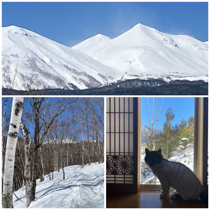 5ac6b254 2c2f 4384 b756 f1c7b7ef68a6 1742617635539