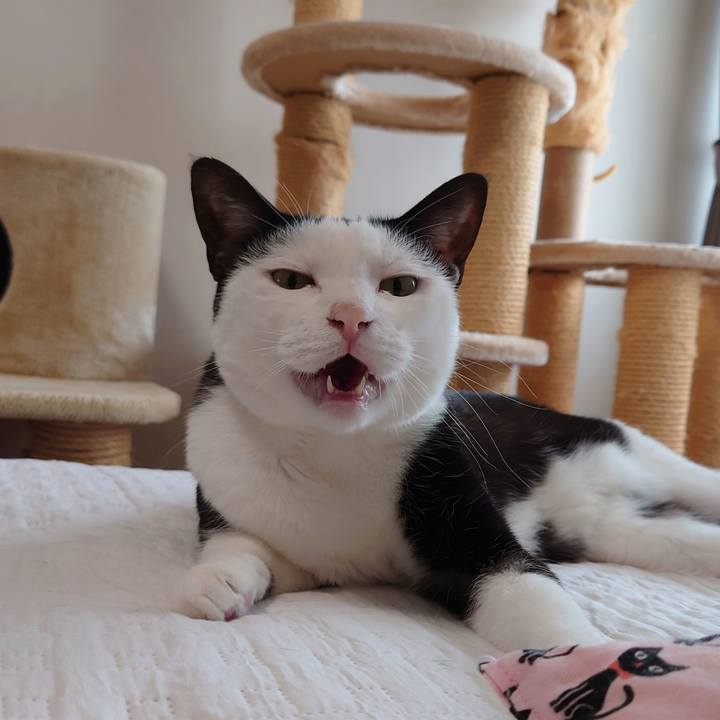 5ac6b90c 33d3 4057 93b9 adccef1620d3 1630379906429