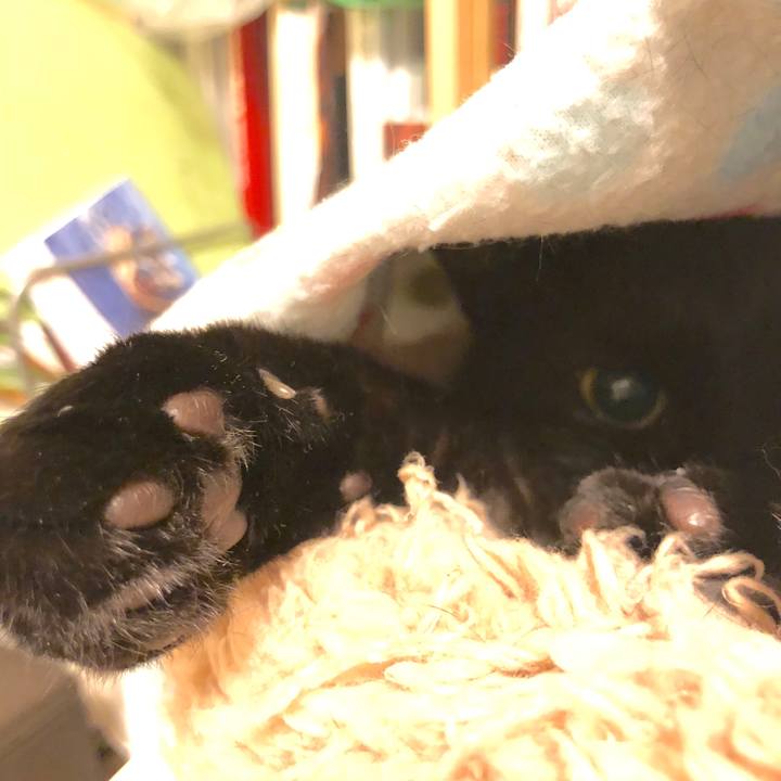 5ac6ce90 9187 487b ad39 b59c6c28a8c6 1518093247147