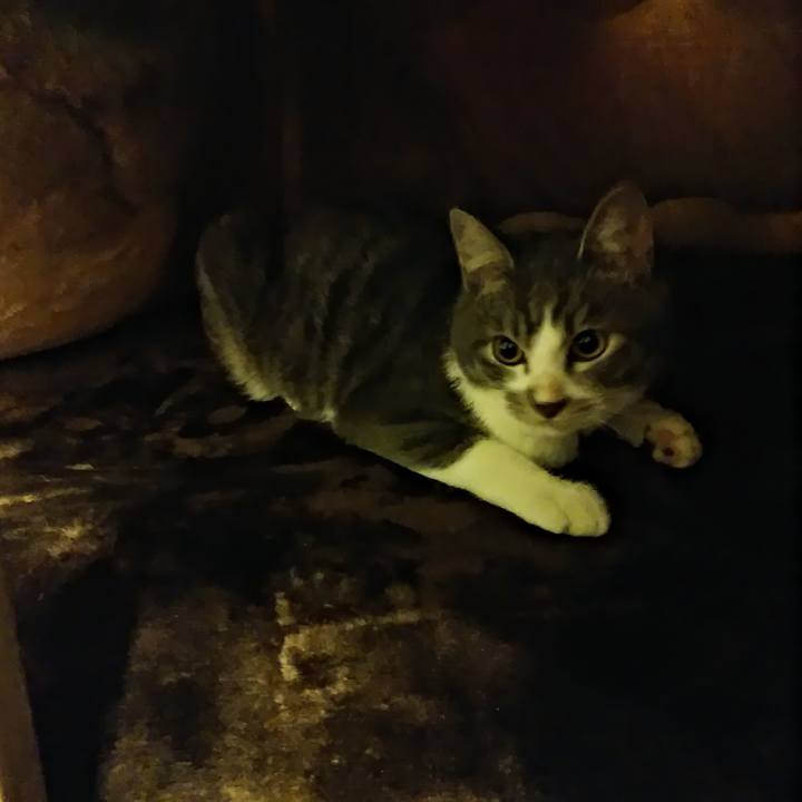 5ac71685 8157 4ab4 be9a 0541f816af19 1571575848761