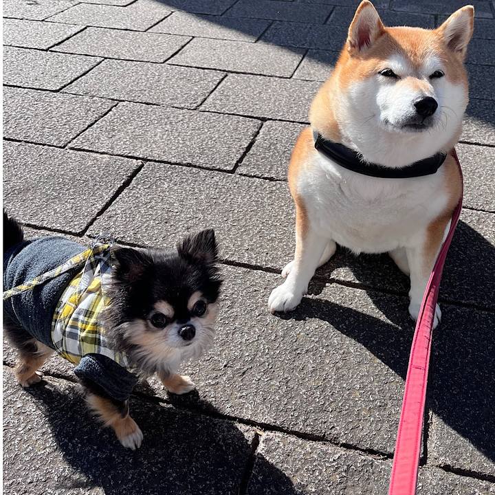 5ac79e77 d97d 4efa a28d df6cc17c0901 1676588250642