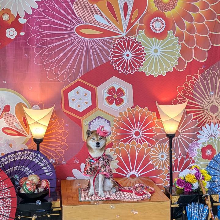 5ac7a9d2 2db1 4811 9443 10c45e2d1eb9 1732284203869