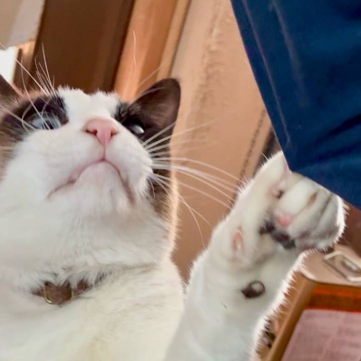 5ac7b56d 9d26 4eaf a3e9 b28618846b59 1772893120951