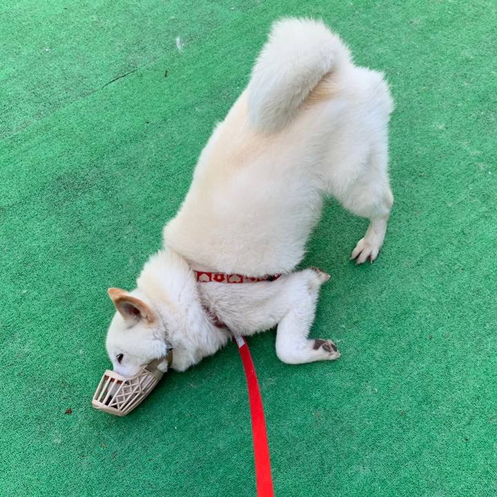 5ac7ed25 5210 44ac be4a fa18b8be324e 1560291409521