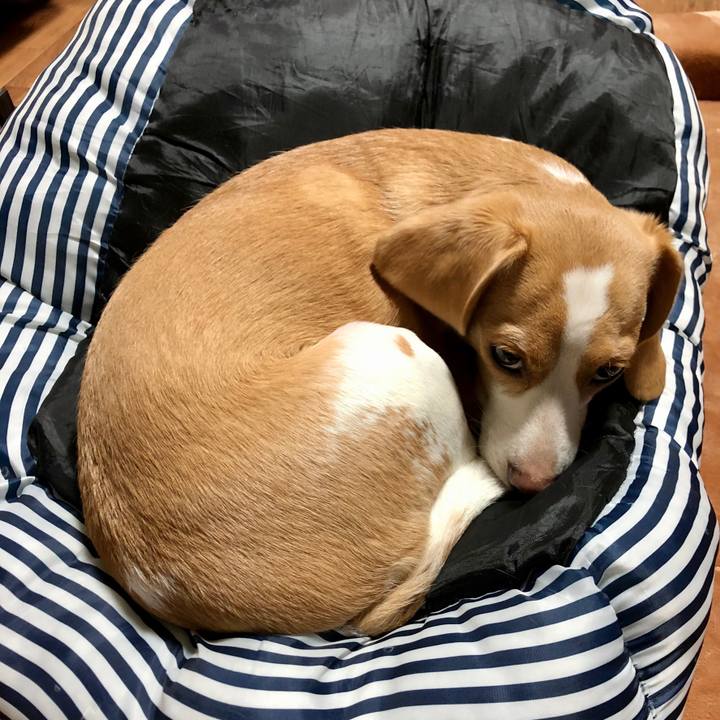 5ac84846 721f 4ce7 ab20 c39a8bfec28f 1602058576495