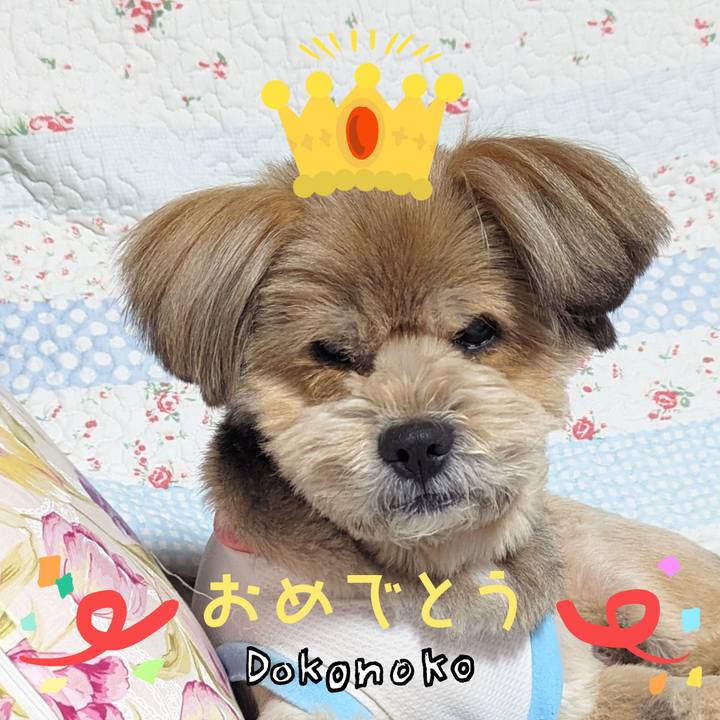 5ac880d4 48c7 40ac 8adc 858474480f32 1685935168025