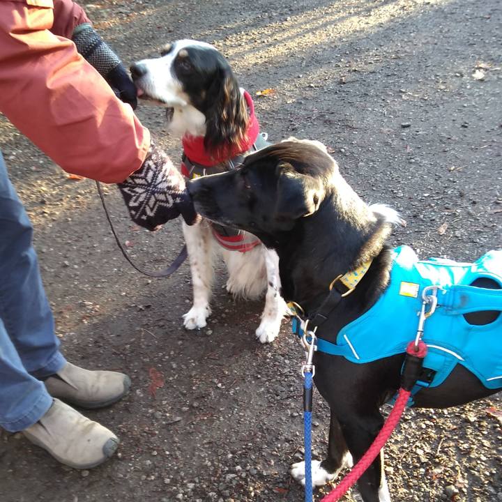 5ac91815 e11f 462f a0ed 30e988962725 1611880962638