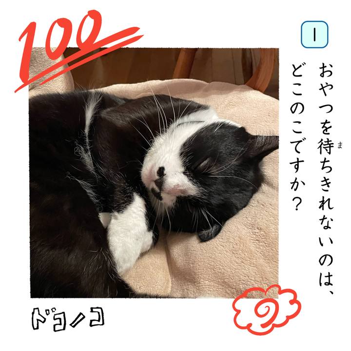 5ac91b41 9144 49d6 bd48 e469f02de301 1744294779458